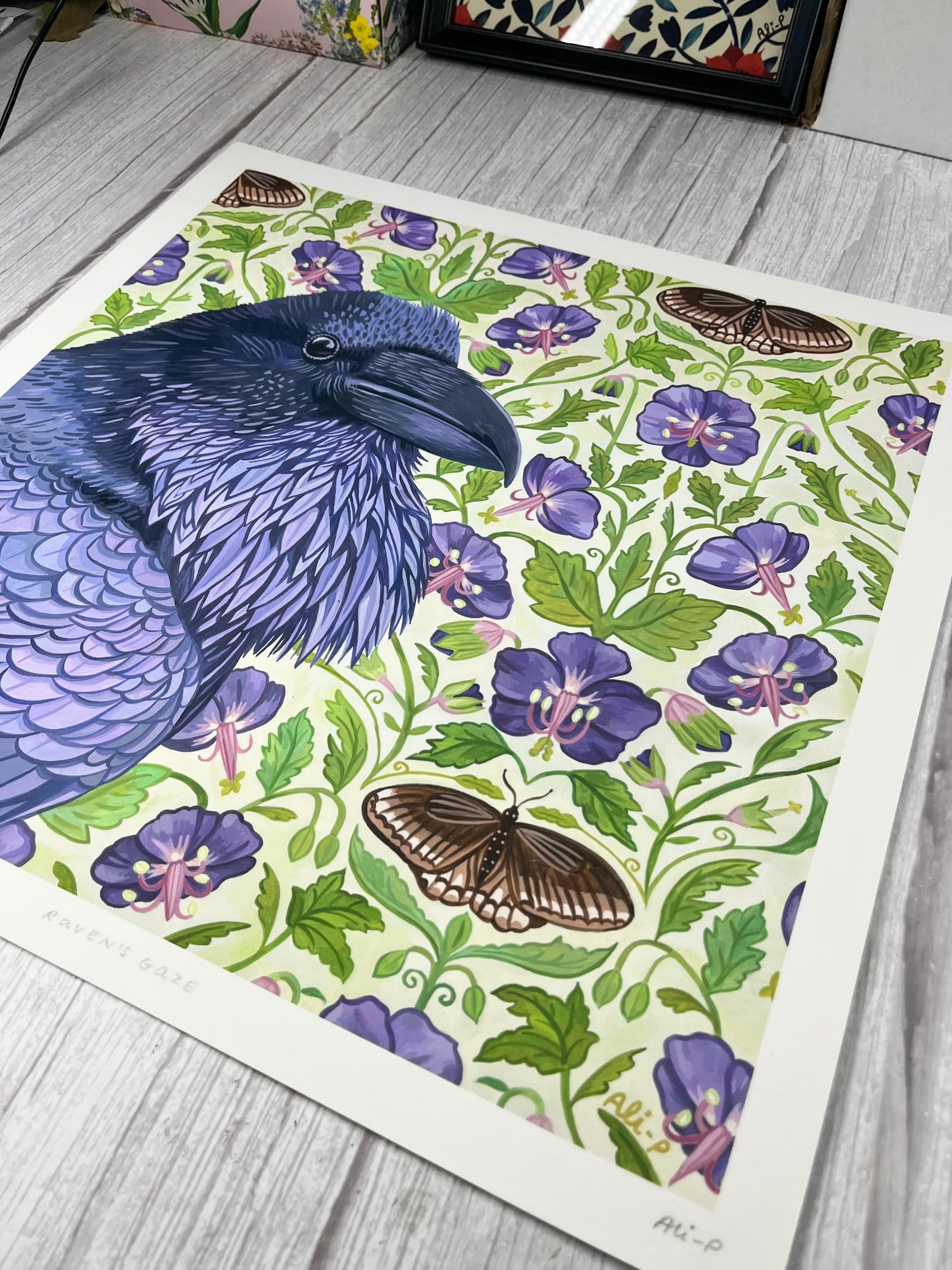Raven’s Gaze